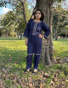 2 Pcs Women's Stitched Embroidered Shirt And Trouser